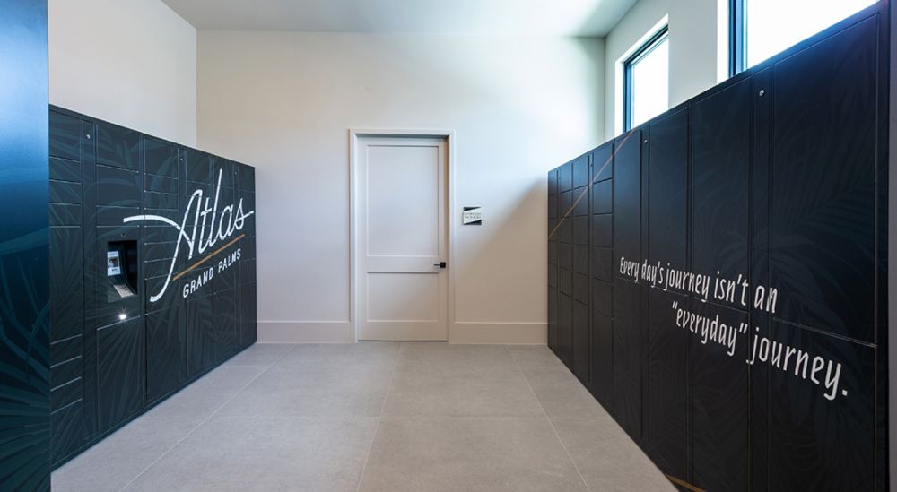 atlasgrandpalm0311 f6a9e53b852c149a6927e3a24f46fe29