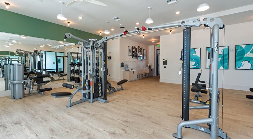 atlasgrandpalm0330d68941c7b62a8b2addd683f84eb123