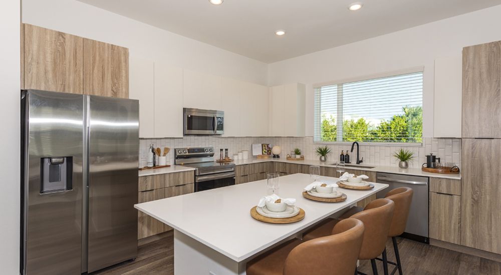 atlasgrandpalm0540 ef0e6e77c473cc4a6155f86589e81e4d