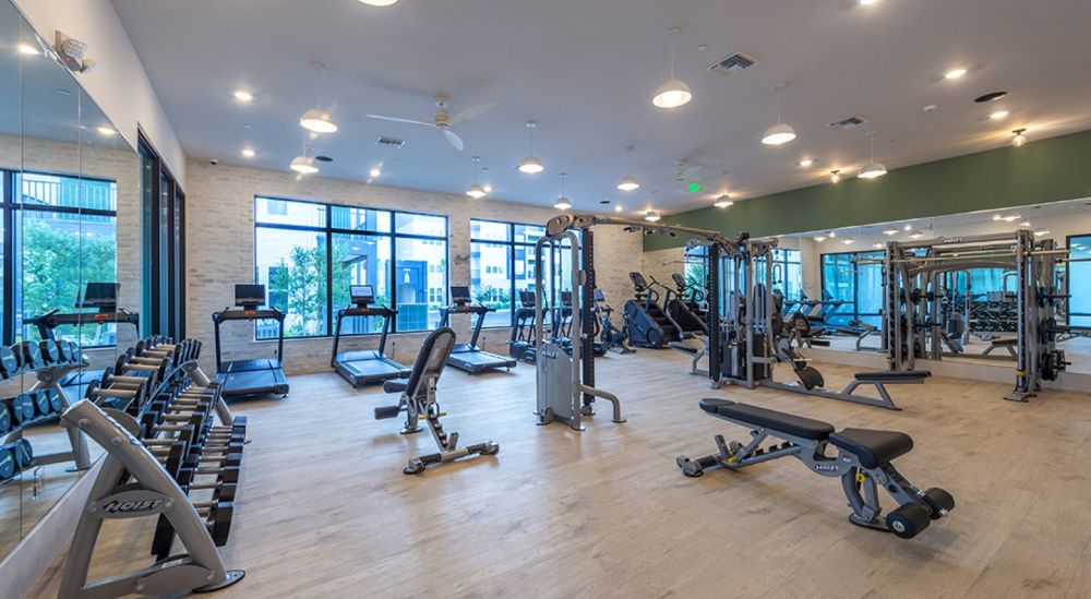 atlasgrandpalm0606a53daedc137609cd4d9f686