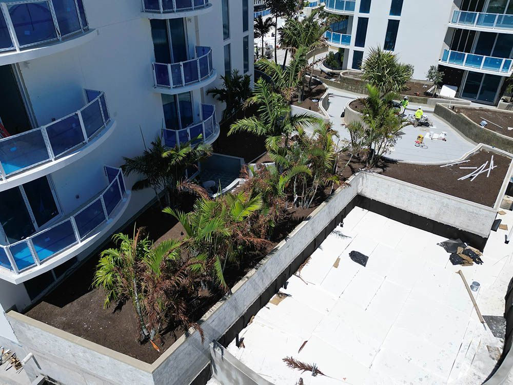 photo mar 24 2026  1 17 pm